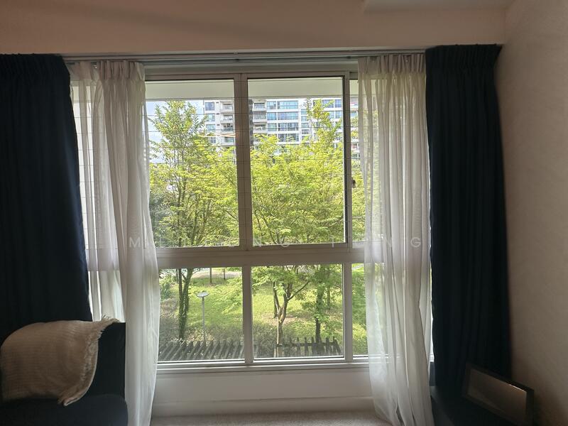 View from the window
