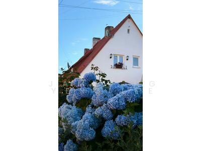 For Sale - Bukit Timah Bungalow House in District 10 for Sale!