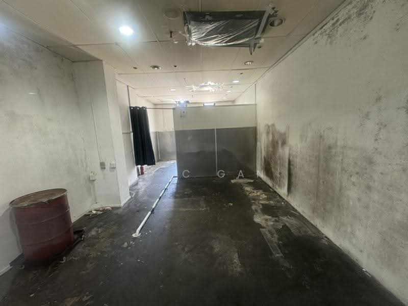 Orchard Plaza, 150 Orchard Road, Orchard / River Valley, 301 sqft, Other Retail For Rent, by Eric Gan, 60116826 - 345 sqft, 3rd floor Unit - CommercialGuru.com.sg