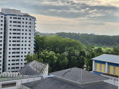 For Sale - 446 Choa Chu Kang Avenue 4