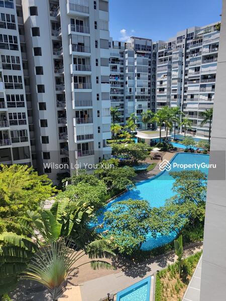 Lap Pool View