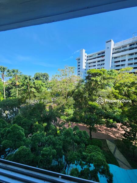 View from living hall