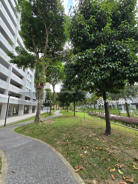 Surrounding