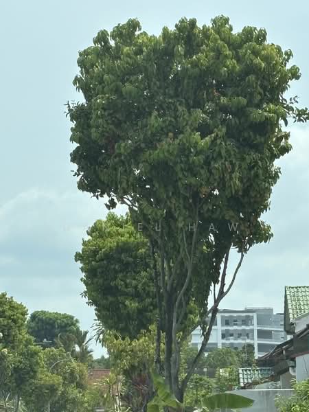 For illustration Only