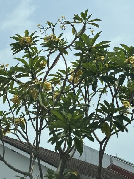 For Illustration Only