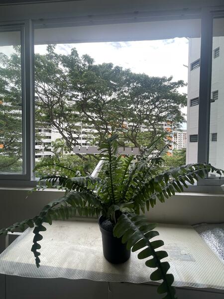 For Sale - 374 Clementi Avenue 4