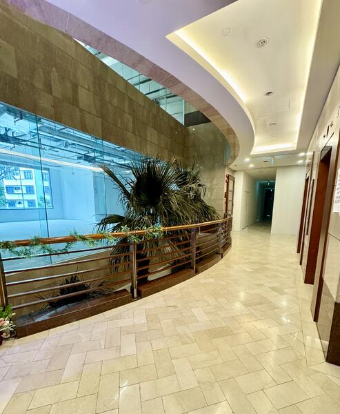 The Oxley, 9 Oxley Rise, Orchard / River Valley, 1,055 sqft, Other Retail For Rent, by Vicki Lam, 60119069 - CommercialGuru.com.sg
