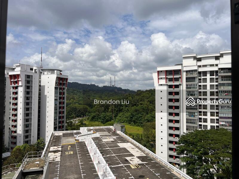 For Rent - 288G Bukit Batok Street 25