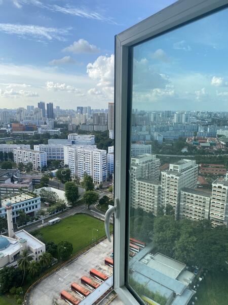 Window view