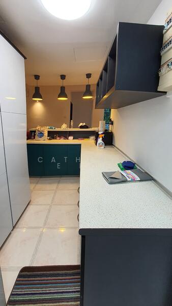 Ava Towers, 10 Ava Road, Room Rental, 200 sqft, Apartment For Rent, by Catherine Loh, 60120949 - Kitchen - PropertyGuru.com.sg