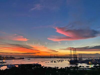 For Sale - The Vision