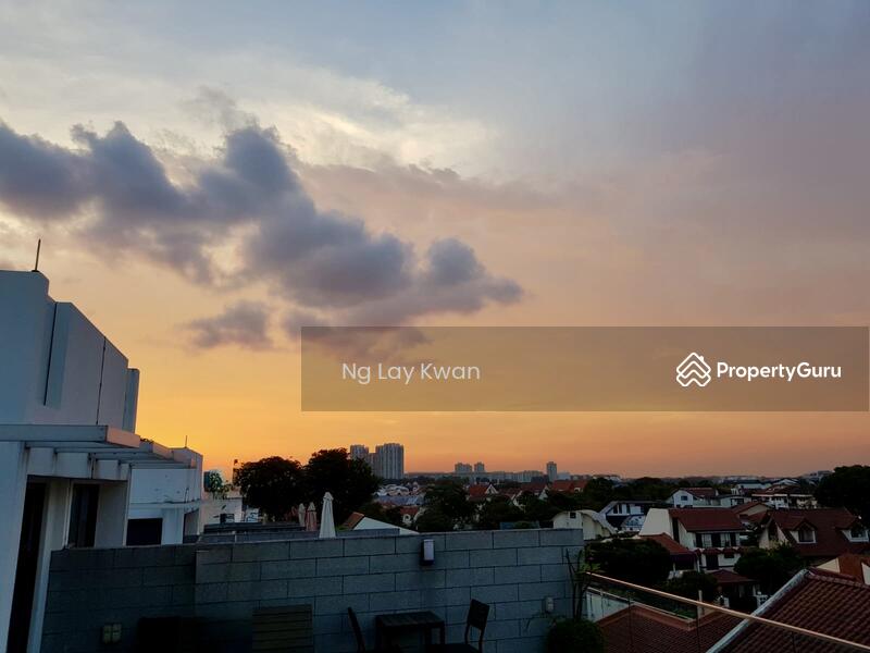 For Sale - Verdana Villas @ Serangoon Garden