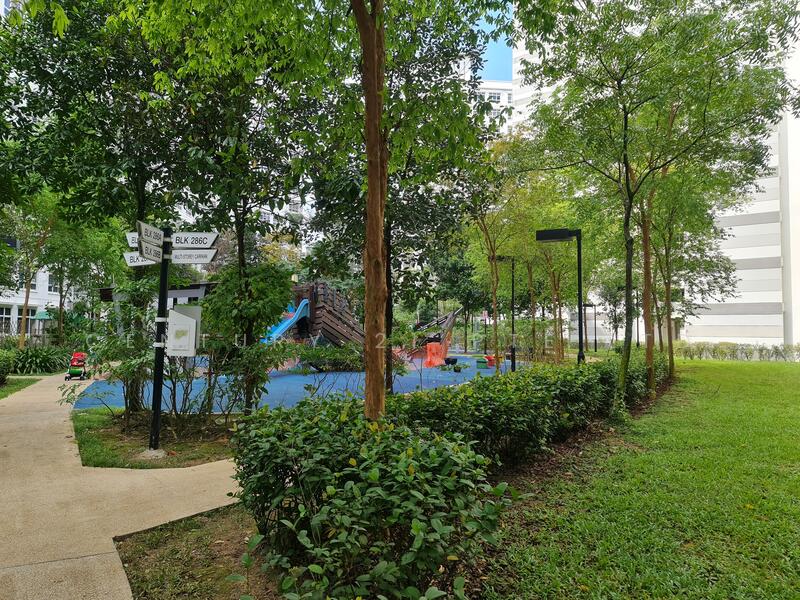 For Rent - 286C Compassvale Crescent