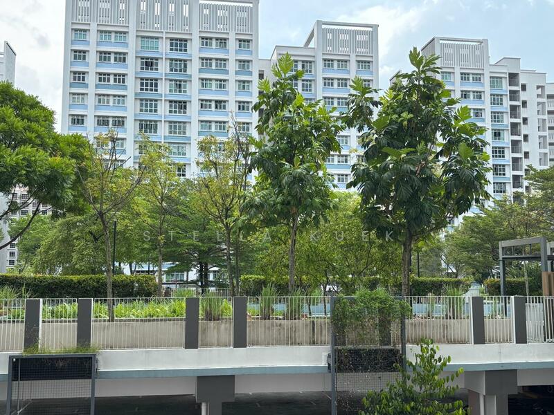 LIving Hall, Bedroom Window Face Garden