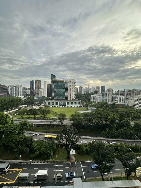 View