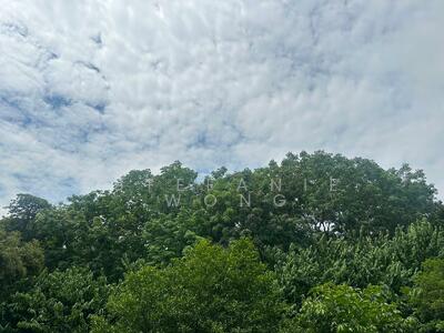 For Sale - Holland vicinity Semi d