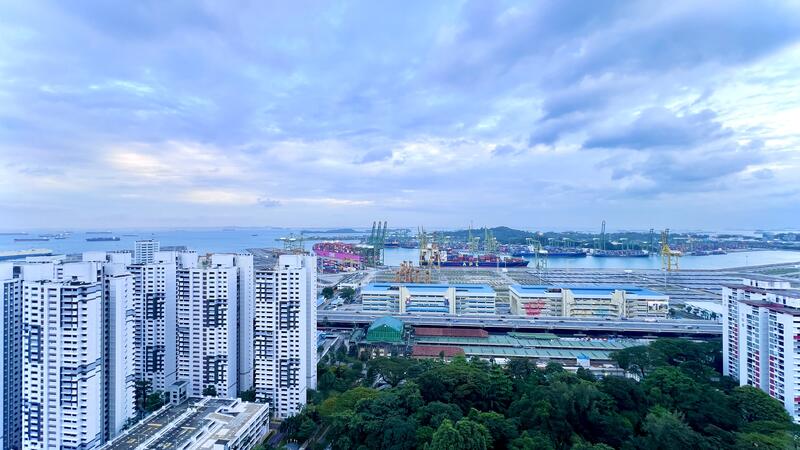 View