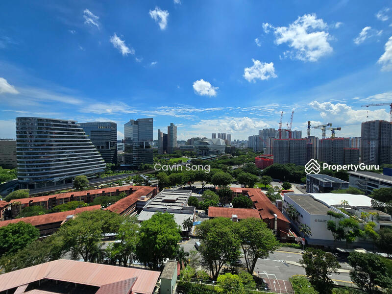 View from Kitchen
