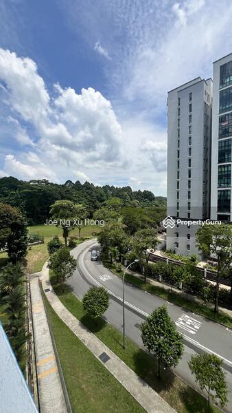 For Sale - 253 Bangkit Road