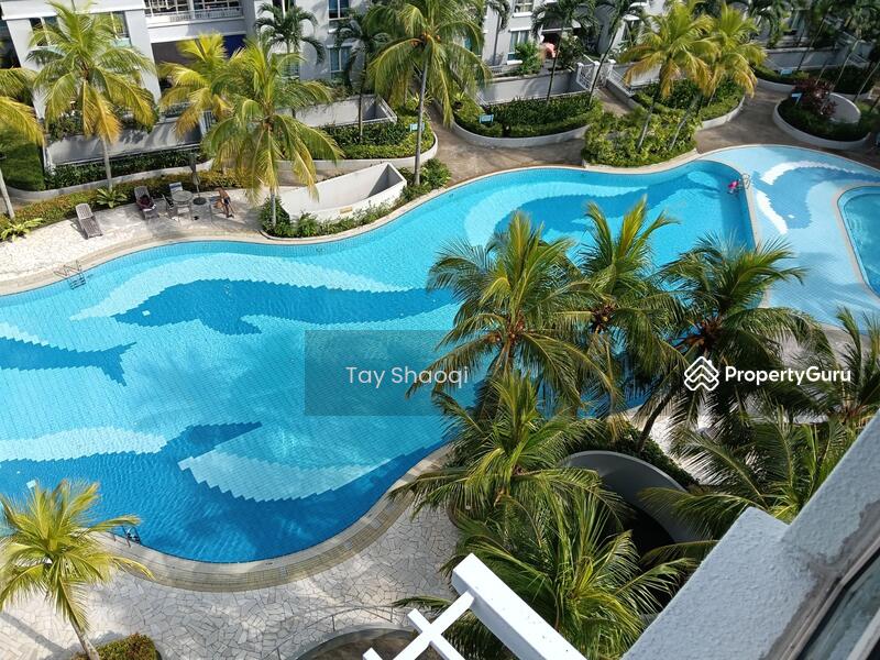 Pool View from Room