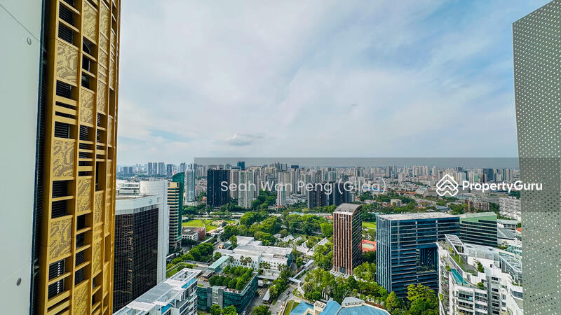 City Views