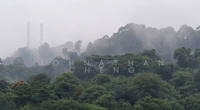 For Rent - Dairy Farm Residences