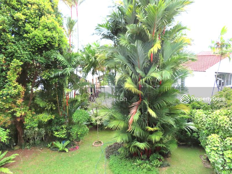 For Rent - Bukit Timah