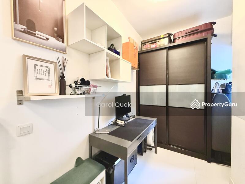 Study Area