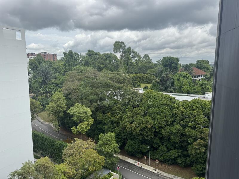 For Rent - 19 Nassim