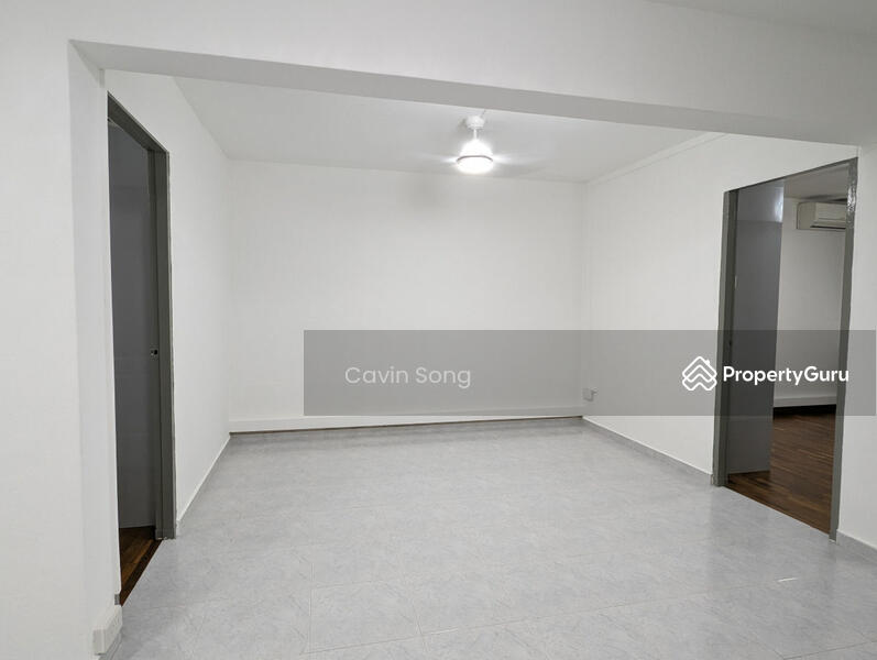 Living Room extension