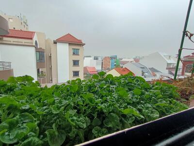 For Rent - Cannaville