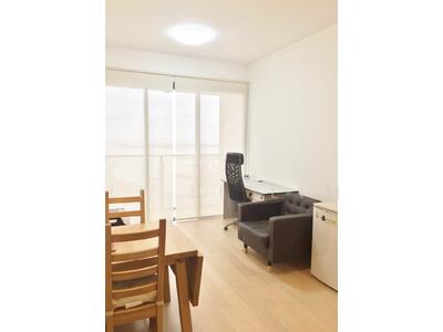 For Rent - Skysuites @ Anson