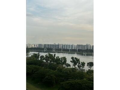 For Sale - The Tropica