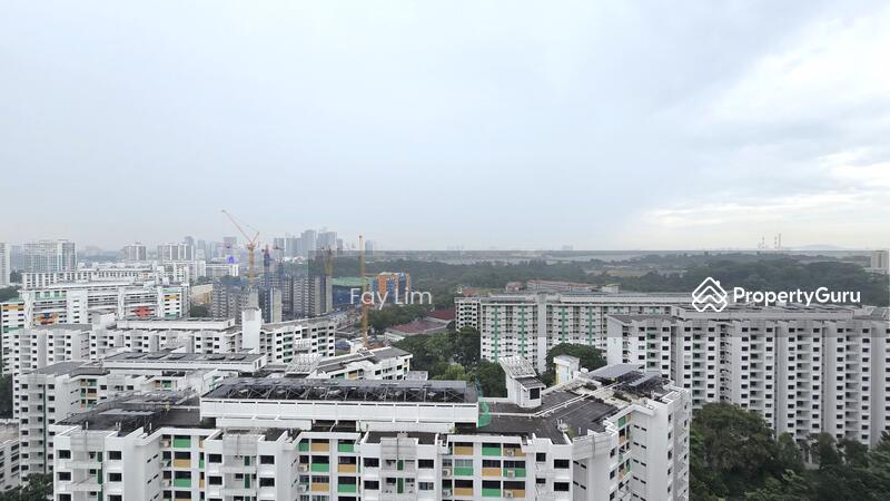 Living Room Window View