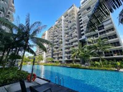 For Rent - CityLife @ Tampines