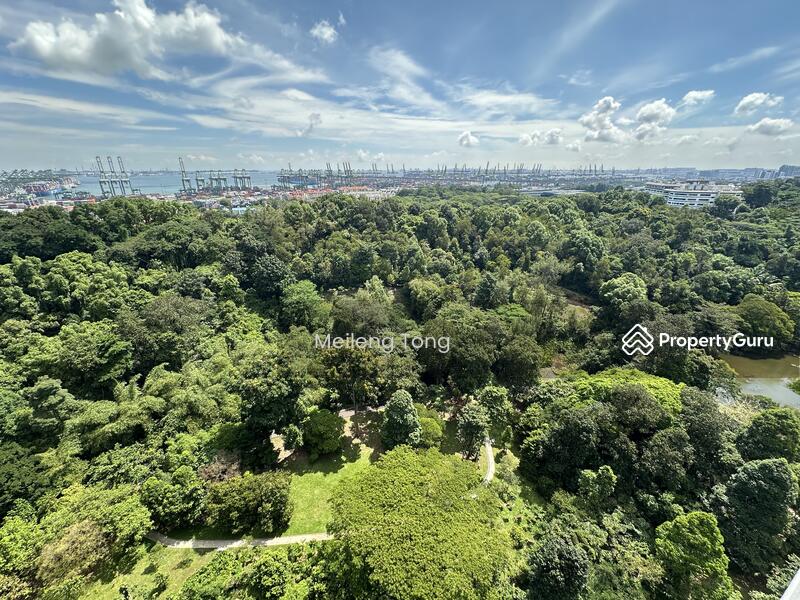 Greenery view