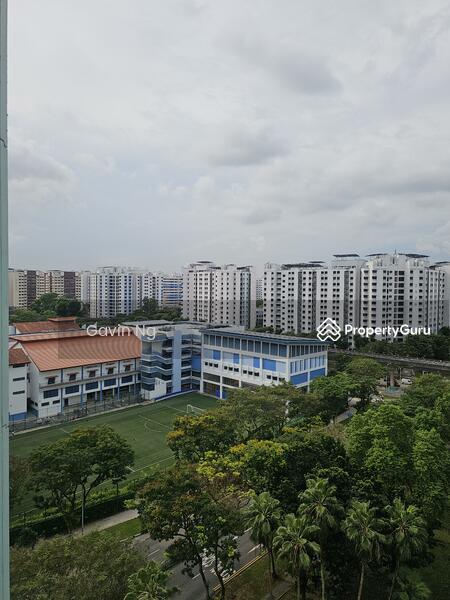 View from Living