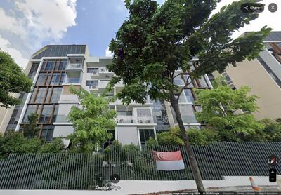 For Sale - The Gazania