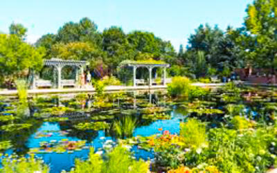 For Sale - ⭐FINEST⭐ Extensive Variety of Landed-Detached