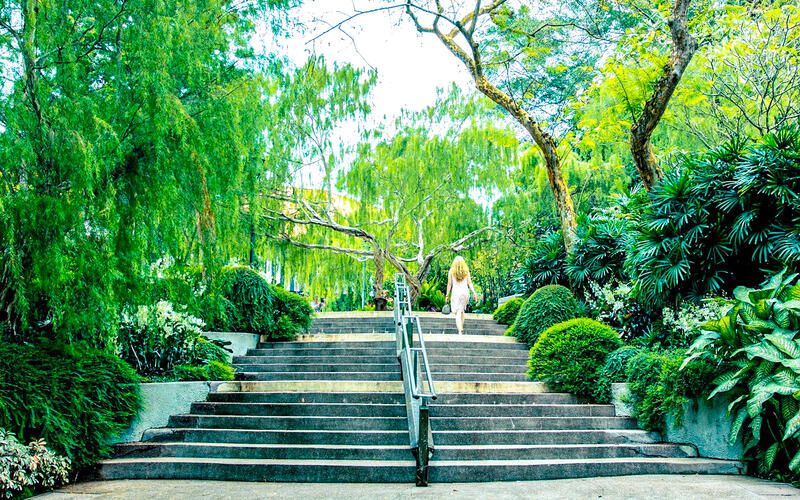 💎SSProperty💎Extensive Variety of Landed-Detached, Steven's, Botanic's, Namly's, 4 Bedrooms, 4,000 sqft, Detached House For Sale, by CHEN ., 60132954 - Others - PropertyGuru.com.sg