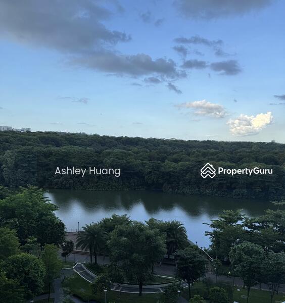 Panoramic View of the park connector 