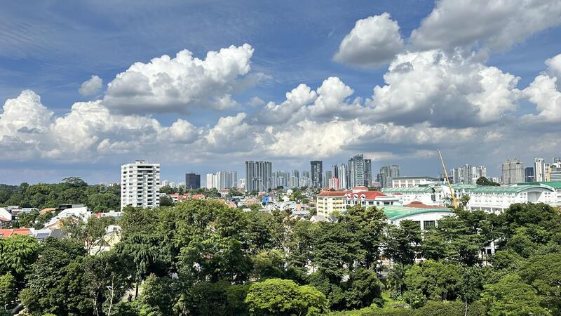 For Sale - Perfect Ten