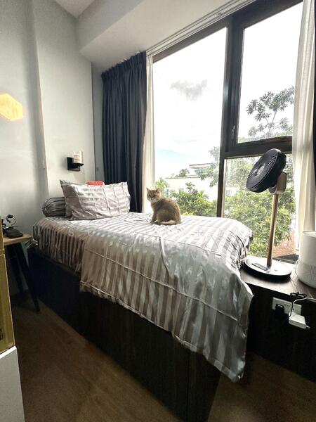 Common Bedroom with storage bed