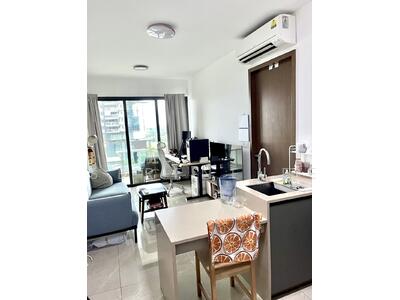 For Sale - Normanton Park