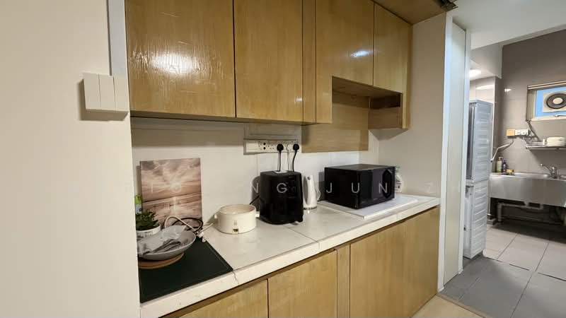 Sommerville Grandeur, 1 Farrer Drive, Room Rental, 150 sqft, Condominium For Rent, by Mario Ong Jun Zhi, 60135497 - Kitchen - PropertyGuru.com.sg