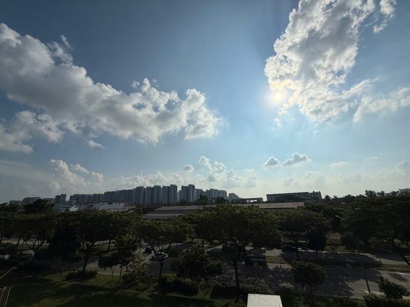 CT Foodnex, 2A-2B Mandai Estate, 1,711 sqft, Factory / Workshop (B2) For Sale, by Jacq Ng, 60135610 - View - CommercialGuru.com.sg