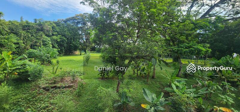 View from Kitchen