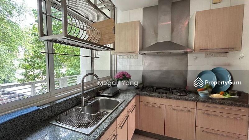 Kitchen greenery view
