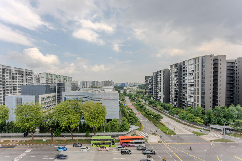 Yard View