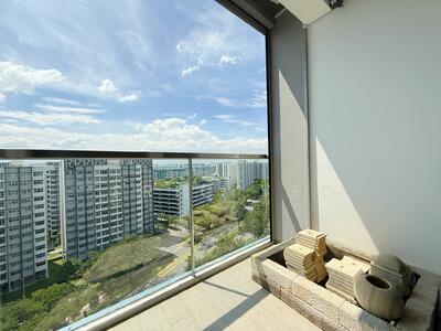 For Rent - Skies Miltonia